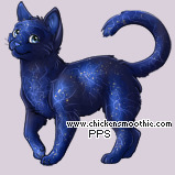 Pet