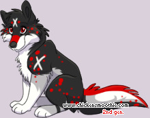 Pet