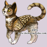 Pet