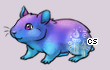 Pet