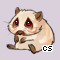 Pet