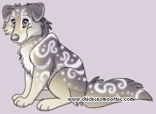 Pet