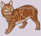 Pet