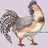 Pet