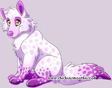 Pet