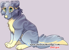 Pet