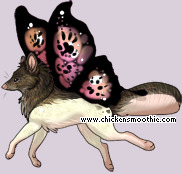 Pet