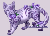 Pet