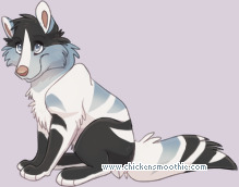 Pet