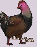 Pet