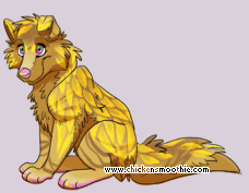 Pet