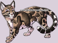 Pet