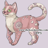 Pet