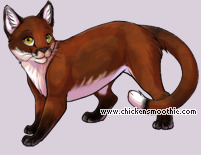 Pet