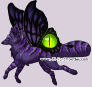 Pet