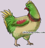 Pet