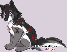 Pet