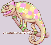 Pet