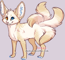 Pet