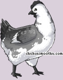 Pet