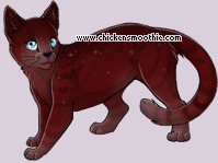 Pet
