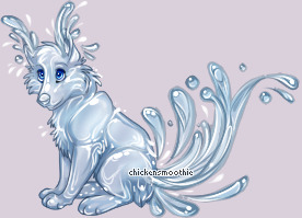 Pet