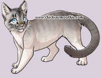 Pet