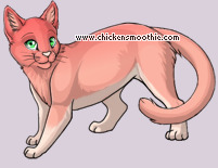 Pet