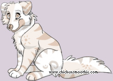Pet