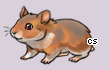 Pet