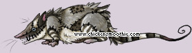 Pet