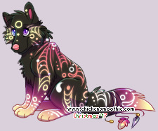 Pet
