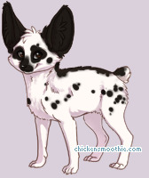 Pet