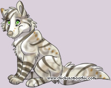 Pet