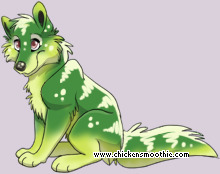 Pet