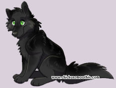 Pet