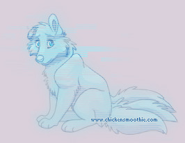 Pet