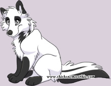 Pet