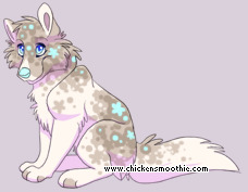 Pet
