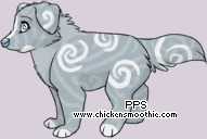Pet