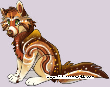 Pet