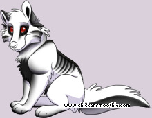 Pet
