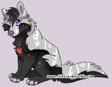 Pet