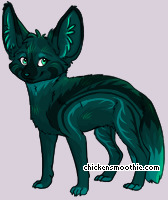 Pet