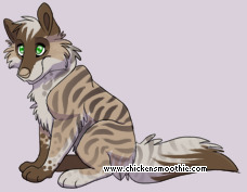 Pet