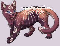 Pet