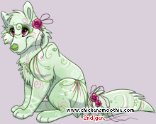 Pet