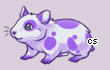 Pet