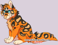 Pet