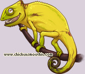 Pet